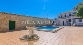 Villa Alicia en Porcuna, Jaén con Piscina y chimenea